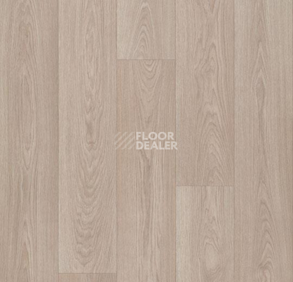 Линолеум Forbo Eternal Wood 13932 pale timber фото 1 | FLOORDEALER